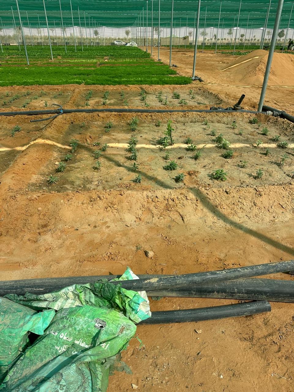 Deep Soil Works Salinity Remediation and Agricultural Land Preparation Saudi Arabia